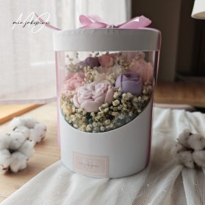 PROZIRNI BOX po želji